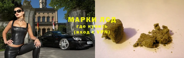 ПСИЛОЦИБИНОВЫЕ ГРИБЫ Алзамай
