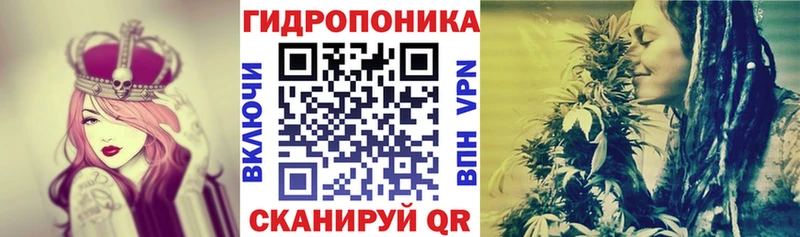 Бошки Шишки THC 21%  MEGA ССЫЛКА  Арск 